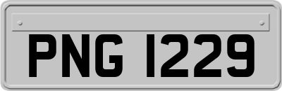 PNG1229