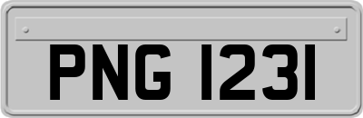 PNG1231