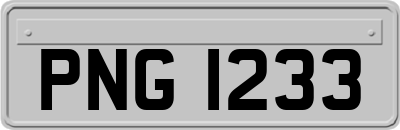 PNG1233