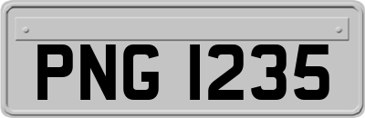 PNG1235