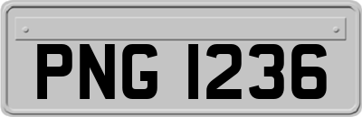 PNG1236