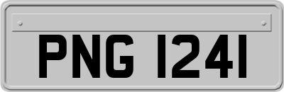 PNG1241