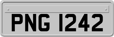 PNG1242