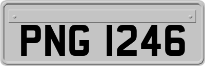 PNG1246