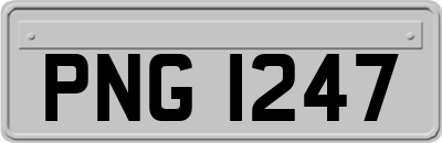 PNG1247