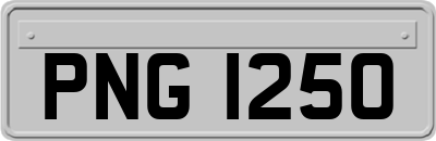 PNG1250