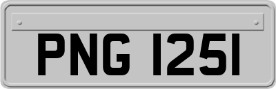 PNG1251