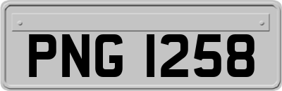 PNG1258
