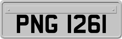 PNG1261