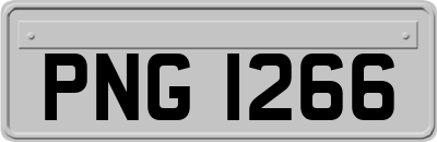 PNG1266