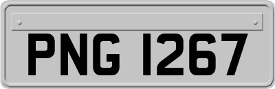 PNG1267