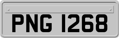 PNG1268