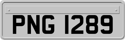 PNG1289