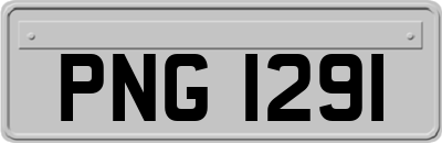 PNG1291