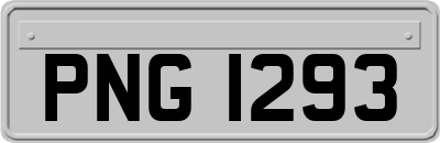 PNG1293
