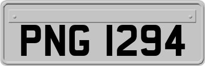 PNG1294