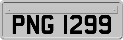 PNG1299