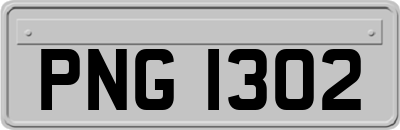 PNG1302