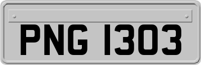 PNG1303