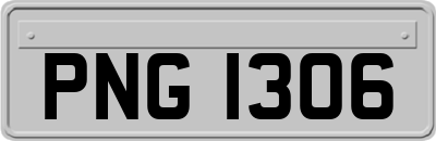 PNG1306