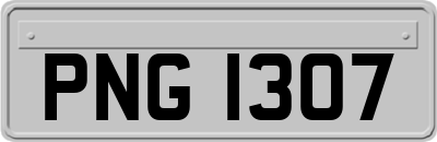 PNG1307