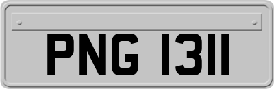 PNG1311