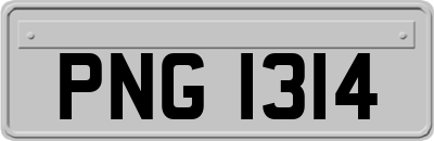 PNG1314