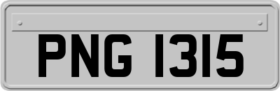 PNG1315