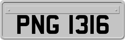 PNG1316