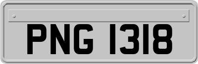 PNG1318