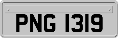 PNG1319