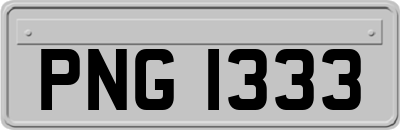 PNG1333