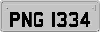 PNG1334