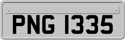 PNG1335