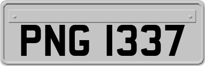 PNG1337