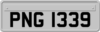 PNG1339