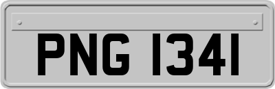 PNG1341