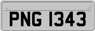 PNG1343