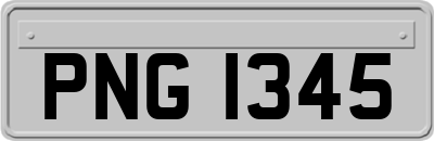 PNG1345