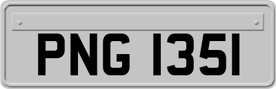 PNG1351