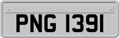 PNG1391