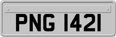 PNG1421