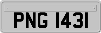 PNG1431