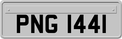 PNG1441