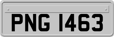 PNG1463