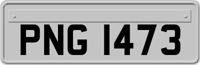 PNG1473