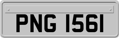 PNG1561