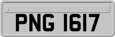 PNG1617