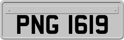 PNG1619
