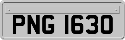 PNG1630